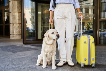 cropped african american woman with labrador and yellow suitcase standing outside pet-friendly hotel