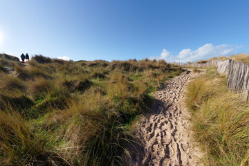 Annoville sand dunes in Cotentin coast