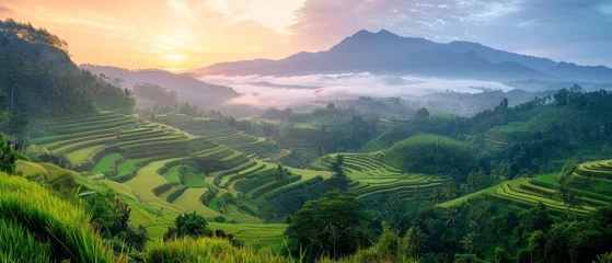 Gordijnen Bali's rice terraces: a patchwork of vibrant greens carved into the landscape © Artem