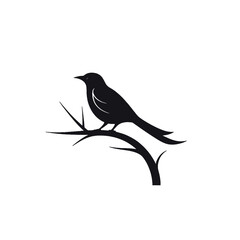 Black silhouette, tattoo of a bird on a branch on white isolated background. Vector.
