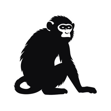 Black silhouette, tattoo of a monkey, chimpanzee on white isolated background. Vector.