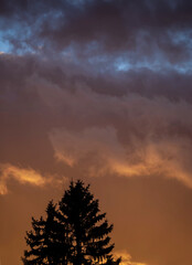 Romantik pur, leuchtender Abendhimmel mit Baumästen im Vordergrund
