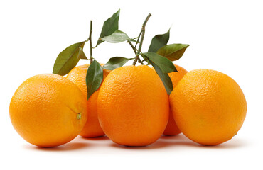 Orange fruit on the white background