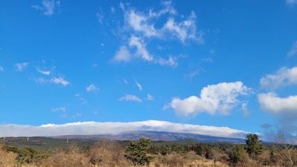 Hallasan Mountain Jeju Island Korea Hallasan Mountain Landscape
