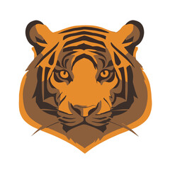 tiger head vector illustration