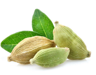 cardamom isoliert auf wei&szlig;en Hintergrund, Freisteller 