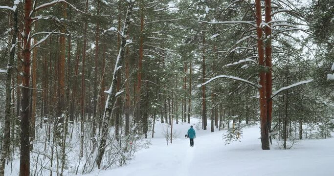 Main plan, a man in a blue jacket and his dog in an orange blanket walking through a winter snowy forest. The owner takes care of the health of his dog and walks with him in the park. 4k