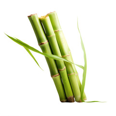 Fototapeta premium Sugarcane isolated, transparent background white background no background