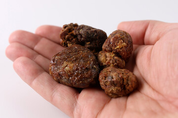 A man holds lumps of propolis in his palms. Propolis for medical procedures.