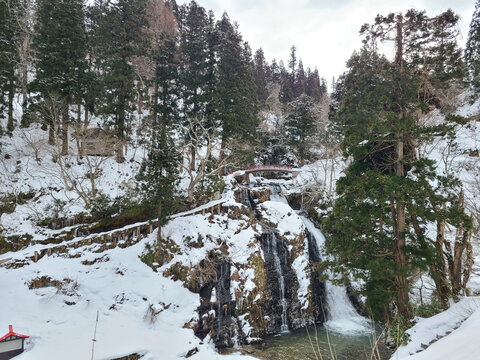 snow