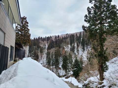 snow