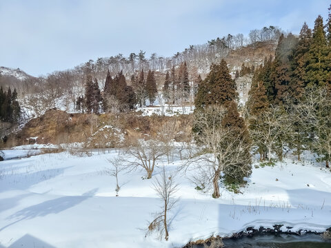 雪