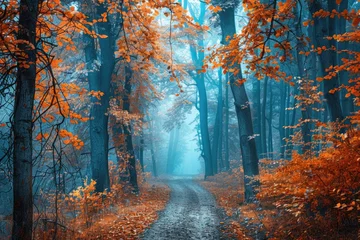 Foto op Plexiglas Enchanted autumn forest with colorful leaves and foggy atmosphere © darshika