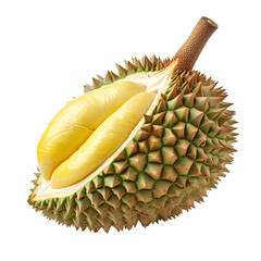 durian  isolated, transparent background white background no background