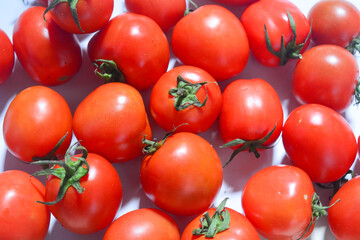 Tomato isolated. Tomato whole, half, on white background. Tomatoes with green basil leaves. Clipping path. Full depth of field.
