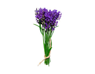 Lavender bouquet tied with rope isolated on a neutral transparent background. Without shadow. Spring concept, congratulations on birthday, mom, anniversary, Valentine's Day, March 8th.