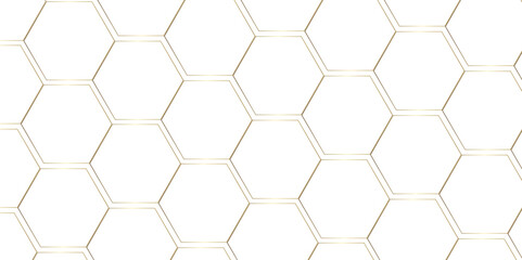 geometric golden hexon stock ceramic brick tile wall . stock line texture and seamless pattern. Grid lines for composing decorate. llustration for retro, paper, textile, decoration. white in backdrop