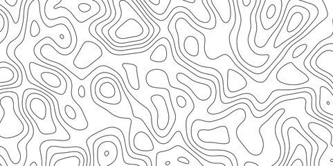  abstract white wave paper curved reliefs background. Topography map pattern, Geographic curved, vector illustration. seamless textrue, vintage waves. Panorama view multicolor wave curve line. - obrazy, fototapety, plakaty