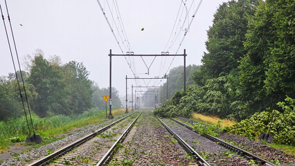 Fallen tree on a railway after a storm with damaging wind in the Netherlands. 