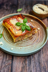 Cannelloni bolognese and parmesan cheese  on a wooden rustic  background.Home made italian meal
