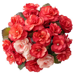 Fototapeta premium Flower - Tangerine Orange .. tone. Begonia: Deep thoughts and individuality