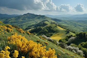 A lush green hillside comes alive with the vibrant hues of yellow flowers, creating a mesmerizing...
