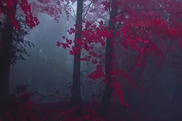 Fototapeten Enchanting and mysterious forest with red leaves. © darshika