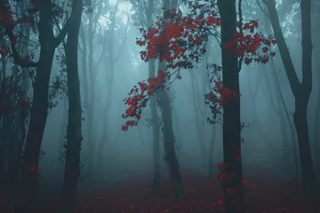Foto op Canvas Enchanting and mysterious forest with red leaves. © darshika