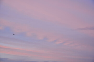 Cloudscape of cumulus sunset clouds