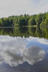 image miroir reflet sapin et nuages dans l'eau