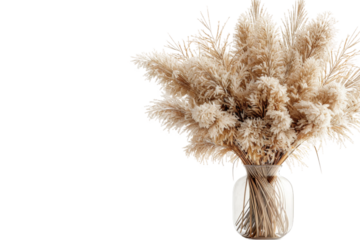 A Vase Filled With Dry Grass. A clear glass vase filled with dried grass stands. The dried grass is neatly arranged within the vase.