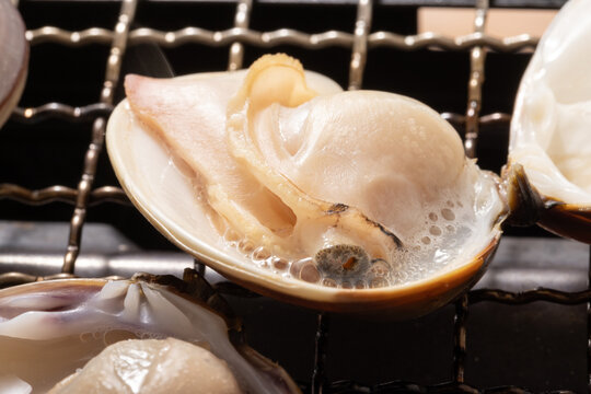 ［千葉県産］はまぐり　浜焼き