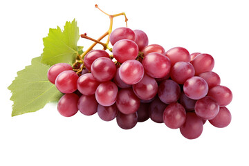 Bunch of Grapes With Leaf. A cluster of juicy grapes, each with a vibrant green leaf The grapes vary in shades from green to purple, showcasing the diversity of this fruit.