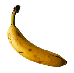 Jeden, dojrzały, żółty banan z brązowymi plamkami na skórce.. Transparentne tło.
