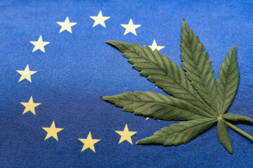 Big green fresh cannabis leaf and flag of Europe Union close up. Illegal cultivation and distribution. Medical use