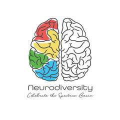 Human brain anatomy vector autism brain neurodiversity clip art