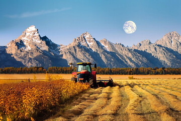 Naklejka premium Tractor in a wheat field in front of the mountains and near full moon on a perfect early september morning
