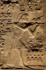 Close up of ancient egyptian wall relief carving with hieroglyphs inside Luxor temple, Egypt