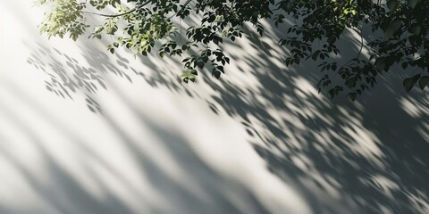 soft shadows background