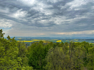 Aerial view of trees and fields of blooming rape on a cloudy day