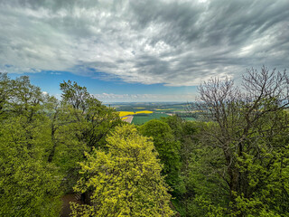 Aerial view of trees and fields of blooming rape on a cloudy day