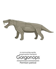 orgonops, a distant relative of mammals with sharp teeth and a unique appearance, a prehistoric gorgonopsian therapsid. Colorful illustration on a white background