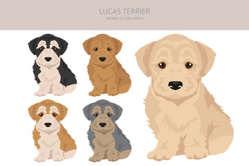 Lucas Terrier_2