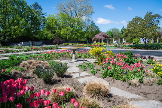 Montreal, Canada - May 14 2023: Blossom colorful flowers in Montreal Botanical Garden in spring