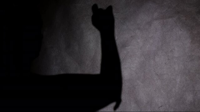 Man showing shadow theater with his hands depicts cat with tail.