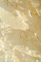 Vertical Close up of Fiber structure of dry leaves texture background. Cell patterns.