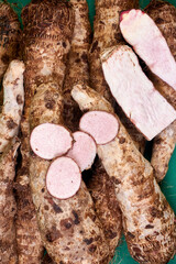 closeup of taro root vegetable, eddo malanga, green background