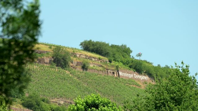 Small propeller aircraft passes in front of a Mosellle Vineyard on the hillside near Winningen, Germany on approach for landing on a hot summer day. 