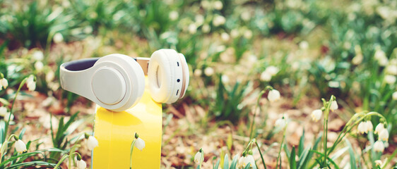 Spring flowers and headphones. Wireless headphones. Music, lifestyle and technology concept.
