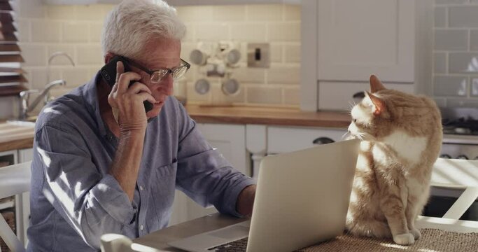 Phone call, home laptop and professional old man consulting on online research, web report or feedback statistics. Kitchen, animal and person with pet cat on business chat, remote work or cellphone